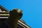 Closeup of statue of gargoyle against a bright blue background, Aberdeen, Scotland