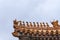 Closeup of statues on corner of roof, Forbidden City Beijing.