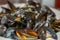 Closeup on steamed mussels on white plate dinner angle view