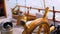 Closeup of a steering wheel and deck of a wooden antique Sail boat navigating in the ocean sunny day showing the wooden parts and