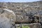 Closeup of steps of ancient Greek amphitheatre