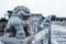 Closeup of Stone lion of marco polo bridge in Beijing