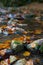 Closeup of stones in the river