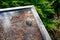 Closeup of storm debris, pine needles, leaves, and lichen, blocking a downspout filter causing flooding on a flat carport roof