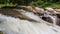 closeup stormy foamy mountain stream flows in park