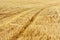 Closeup of straw texture