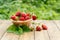 Closeup strawberry in wicker basket on a background of foliage