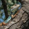 Closeup striking Podarcis Siculus lizard, detailed and captivating