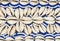 Closeup of a stringed white and blue strings and cowrie shells forming a pattern