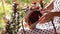 Closeup of stylish rattand handbag in the tropical garden.