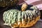 Closeup sunlit big green pumpkin on autumn holiday