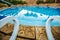 Closeup sunloungers and swimming pool with reflected palms in water