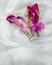 Closeup of sweet peas on the white fabric under the lights - perfect for aesthetic backgrounds