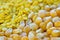 Closeup of sweetcorn seeds and split yellow mung beans