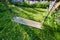 Closeup of a swing on a rope in a peaceful backyard garden in summer. Green lush grass foliage growing in a garden with