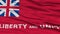 Closeup of Taunton City Flag