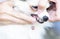 Closeup teeth of pomeranian dog with tartar, pet health care concept, selective focus