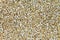 Closeup texture of dried Chinese pearl barley, Job`s tears grain