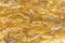Closeup texture of dried quai, Dang Gui, known as female gi