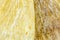 Closeup texture of dried quai, Dang Gui, known as female gi