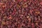 Closeup texture of dried Roselle hibiscus flowers in dark red co