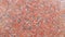 Closeup texture of red concrete floor. Background of a red concrete in sunshine