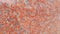 Closeup texture of red concrete floor. Background of a red concrete in sunshine