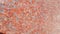 Closeup texture of red concrete floor. Background of a red concrete in sunshine