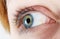 Closeup of thel female eye