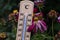 Closeup of a thermometer showing the high temperature at which flowers and plants wither and die