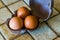 Closeup of three chicken eggs in a case, popular protein source, animal food products