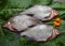 A closeup of three freshly caught breams on horseradish leaves, decorated with an orange flower