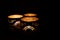 Closeup of three ornamental candles burning in the dark