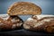 Closeup three pieces of handmade round brown rye bread
