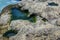 Closeup of a tidepool filled with water in the rocks by the ocean, rimmed with green algae.  The algae appears as a miniature