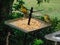 Closeup of tiny wild birds, bright yellow finches, eating seed from a metal spiked tray in the garden