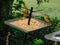 Closeup of tiny wild birds, bright yellow finches, eating seed from a metal spiked tray in the garden. One is hanging down