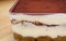 Closeup of Tiramisu, a Popular Italian Dessert Also known as Tuscan Trifle in Glass