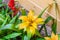 Closeup to Beautiful Yellow Bromeliad/ Livingvase/ Urn Plant/ Aechmea Fasciata/ BROMELIACEAE