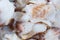 Closeup to Fresh Yummy Steamed Pangasius Dory Fish Background