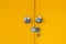 Closeup to Locked Yellow Metal Door