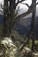 Closeup to a natural framed of a mountains in middle of an old tree branches