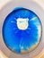 Closeup of toilet bowl seat with blue white environmantal harmful chemical chlorine aggressive cleaning detergent product