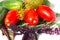 Closeup from the tomatoes, cucumbers and spices  on the white background