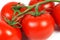 Closeup of tomatoes on the vine, vegetable background