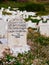 Closeup of tombstone engraved in Arabic in a cemetery, Mahdia, Tunisia