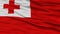 Closeup Tonga Flag