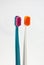 Closeup Toothbrush