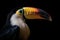 Closeup of a toucan isolated on a black background. AI-generated.