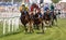 Closeup of tough fight between many jockeys riding arabian race horses and audience in the background